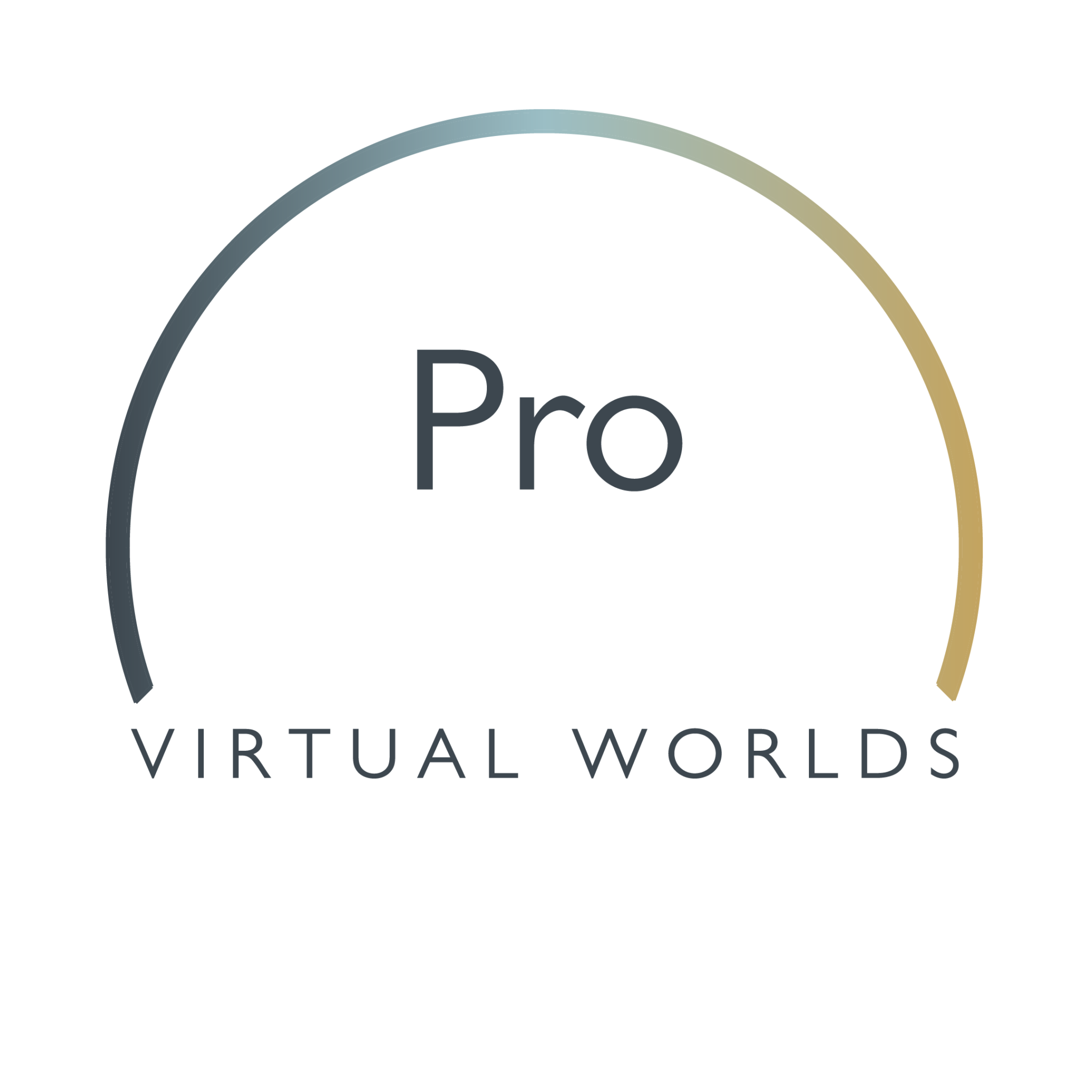 Virtual world pro